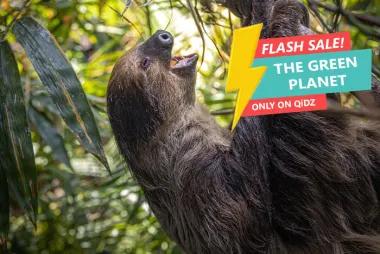 FLASH SALE: The Green Planet28138