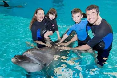 Swimming with Dolphins at Dolphinarium31327