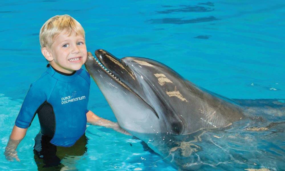 Swimming with Dolphins at Dolphinarium31327