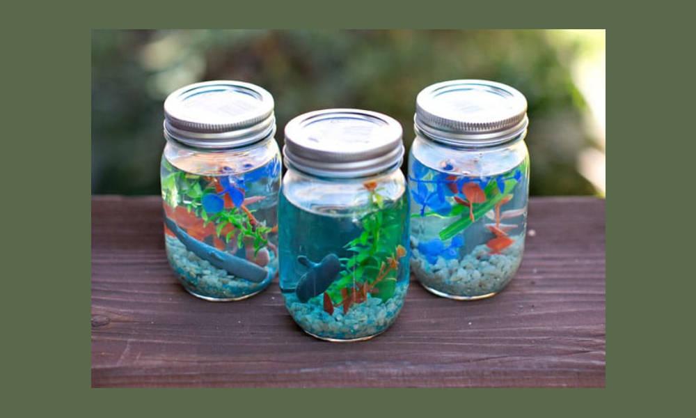DIY Jar Aquarium15932