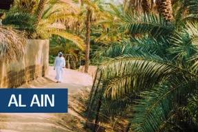 A Day Out in Al Ain - Where to Go & What to See!-3814
