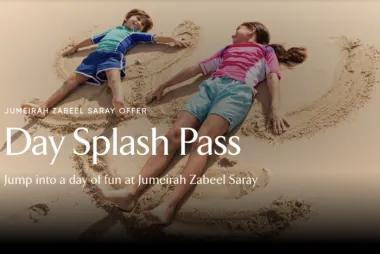 Pool & Beach Day Splash Pass17386